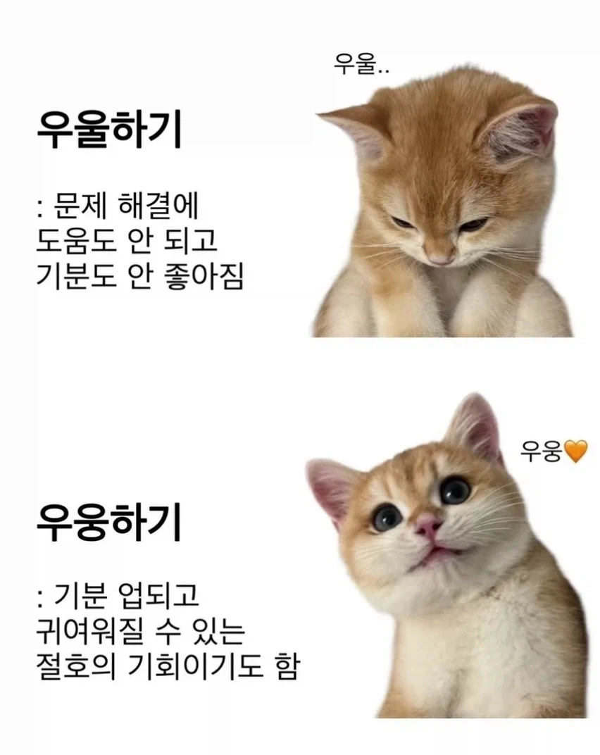공포의 성별.jpg 대표 이미지