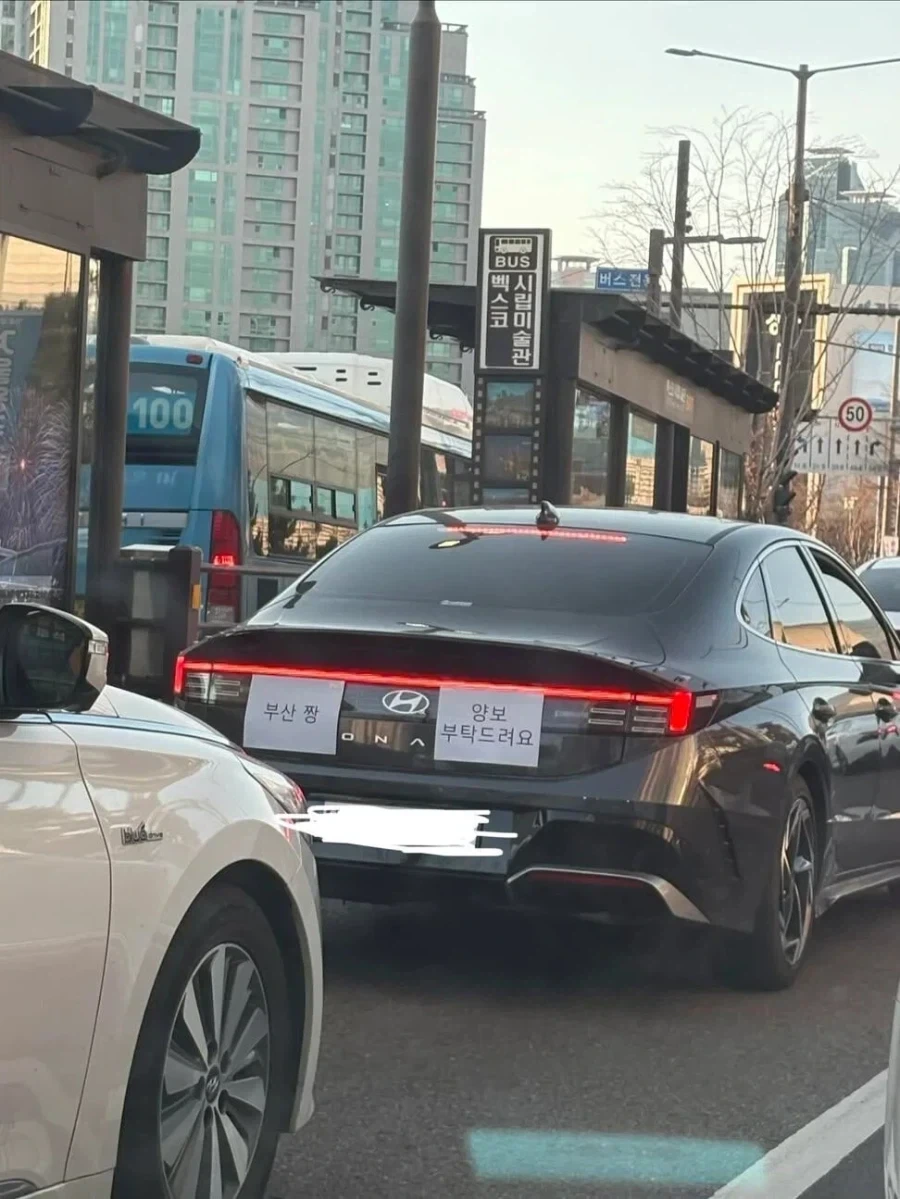 유튜브) 해장국 먹는 스코틀랜드 친구들 이미지 3