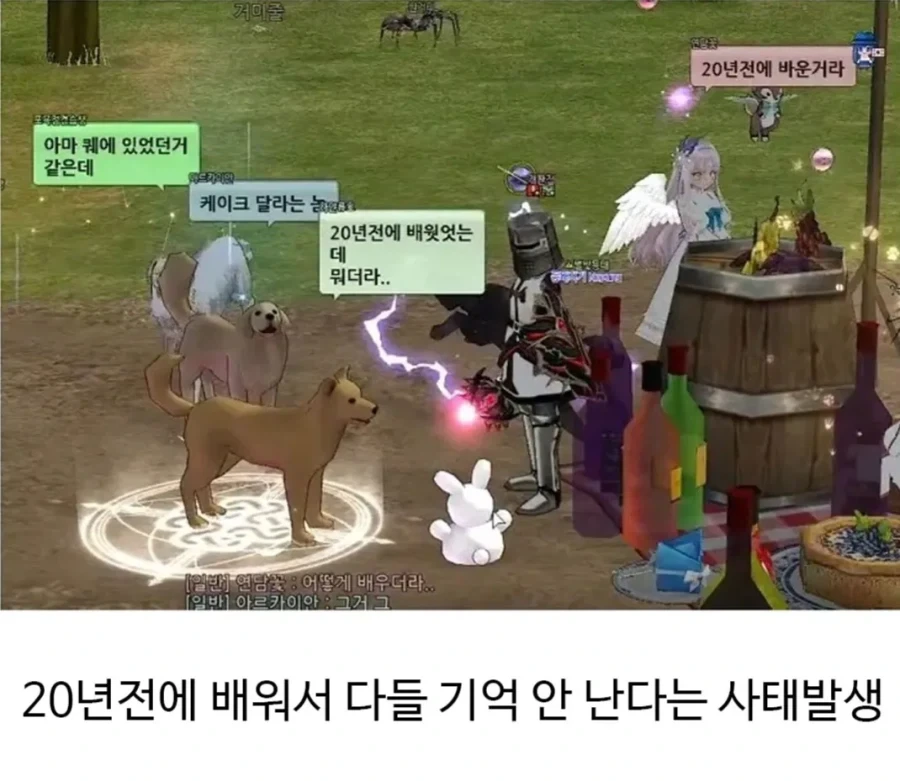 온라인 게임이 늙으면 생기는 일.jpg_4.webp