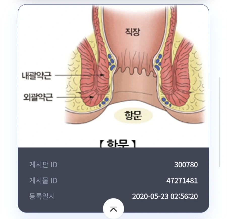 ㅋㅋㅋㅋㅋㅋㅋ이미지 검색 후방짤 딱 대라ㅋㅋㅋㅋㅋㅋ_2.webp