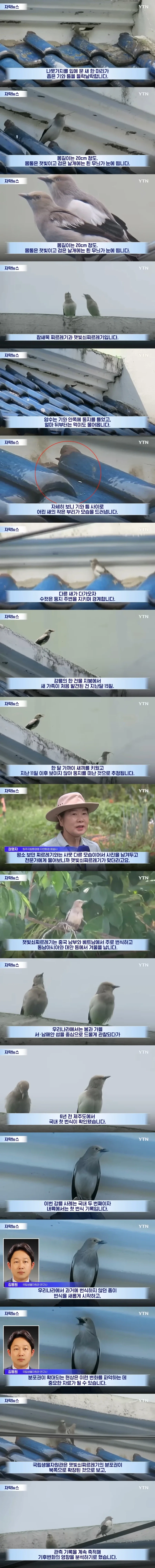 아빠가 아들을 다급하게 부른 이유 이미지 2
