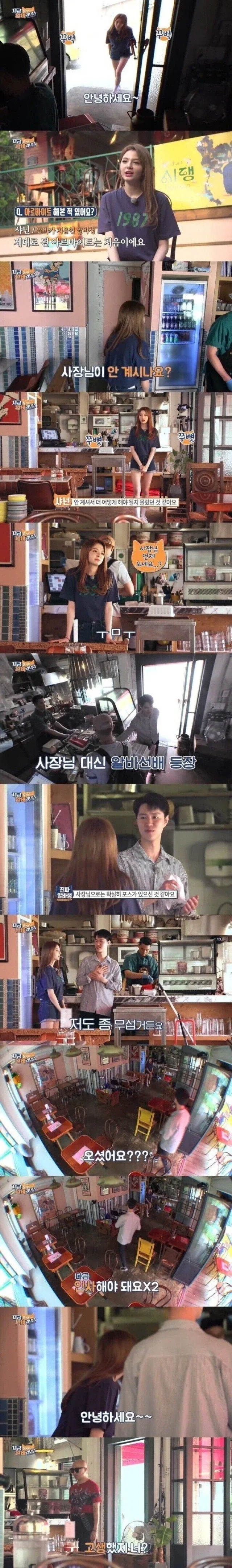 바이럴 치약 회사의 최후. 이미지 5