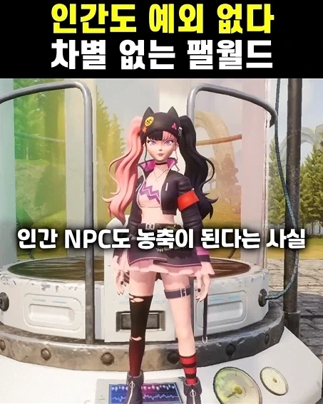 ? : 한국인들은 해외나가면 한국인을 가장 조심해야함 이미지 4