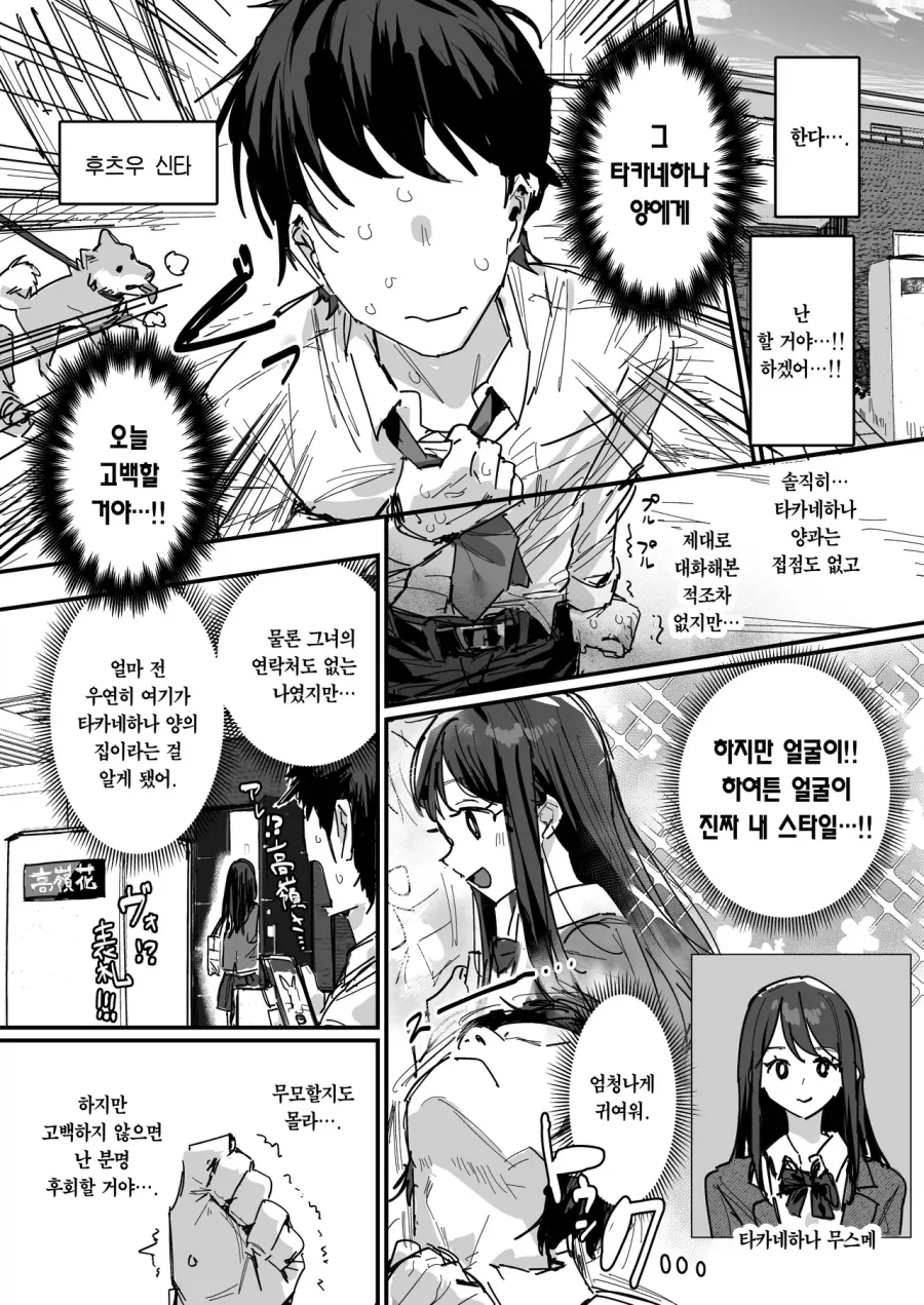 극장판 카드캡터 체리 예고편 이미지 7