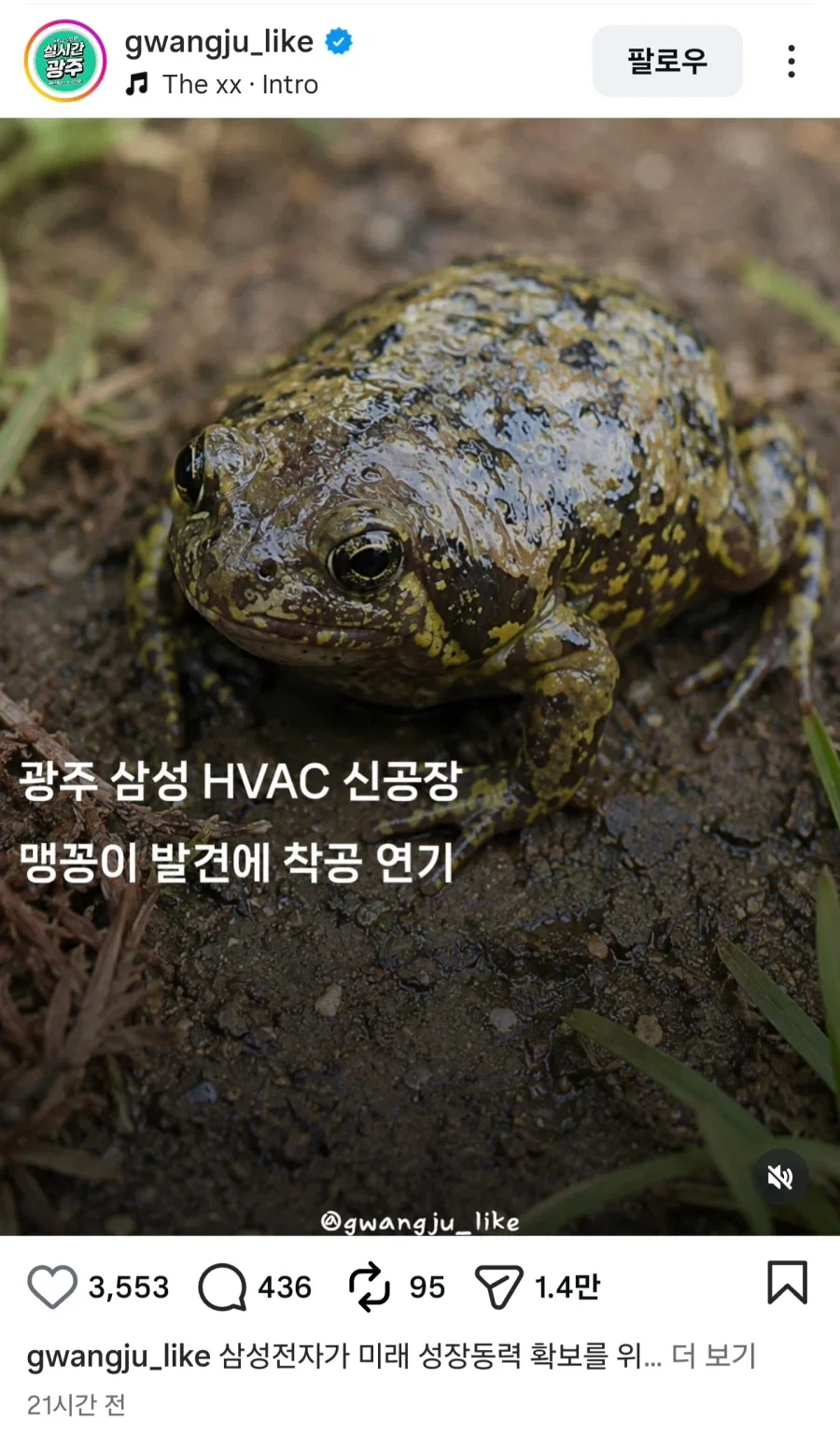 서코에서 받은 초콜렛에 이물질이 나왔어요 ㅠㅠ 이미지 2