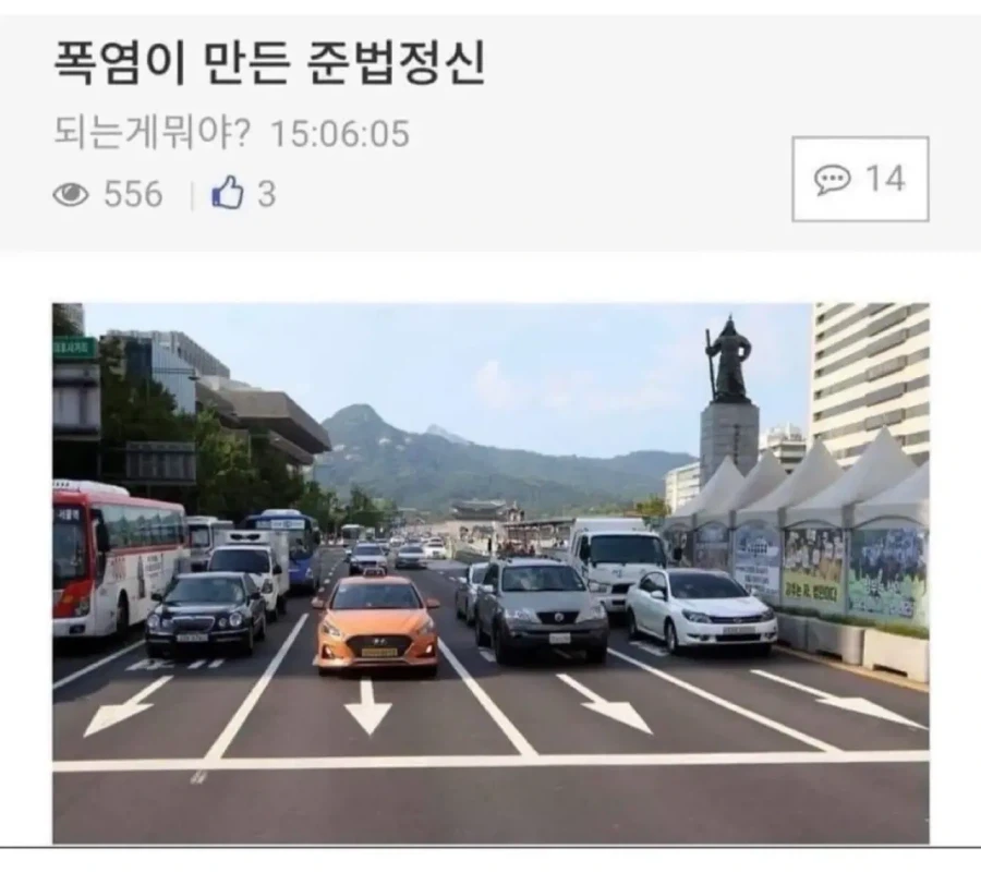 오스트리아에는 이제 캥거루가 삽니다! 이미지 2