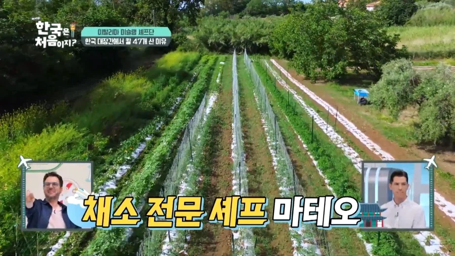 유튜브) 외국인 남성3인조 국내 칼보고 씨익