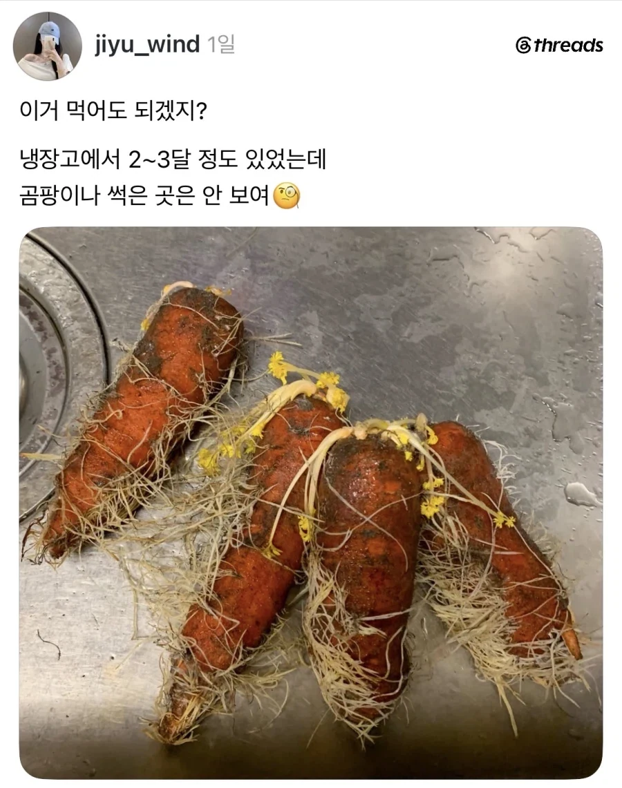 우리 사무실 막내누나 드디어 돌아버림.jpg 이미지 2