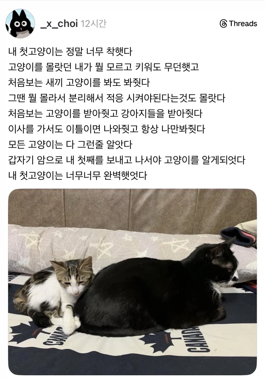 삼겹살에 대한 냉정한 평가 이미지 5