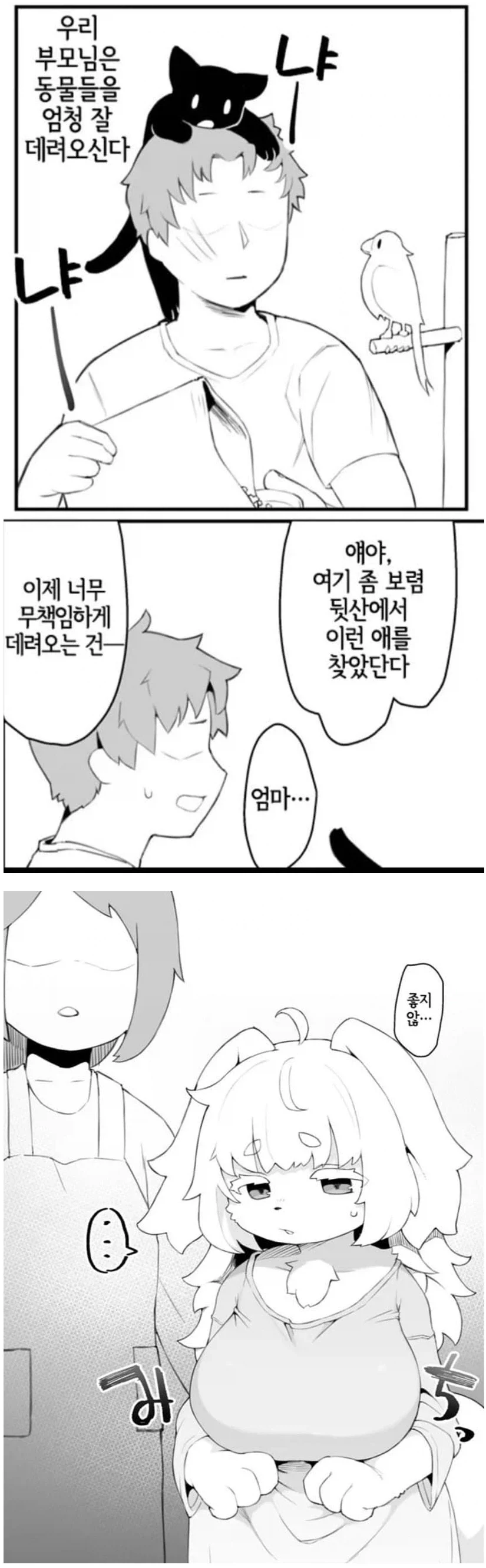풀프라이스 게임이 79,800? 이미지 5
