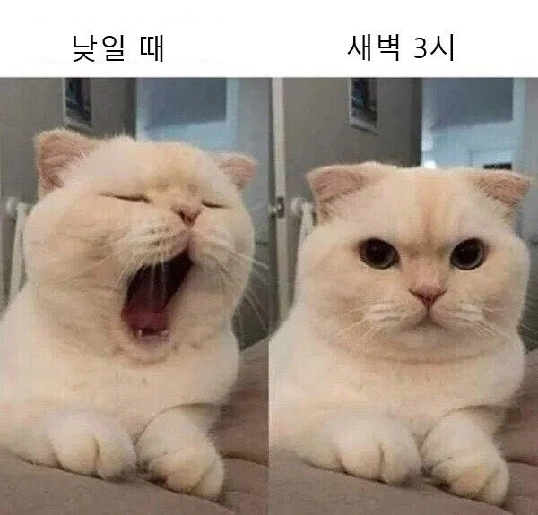 손님한테 경화수월 쓰는 미친 아줌마 이미지 2