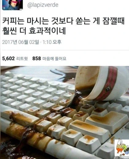 "바깥은 위험하니 한 마리만 데려가게" 이미지 8