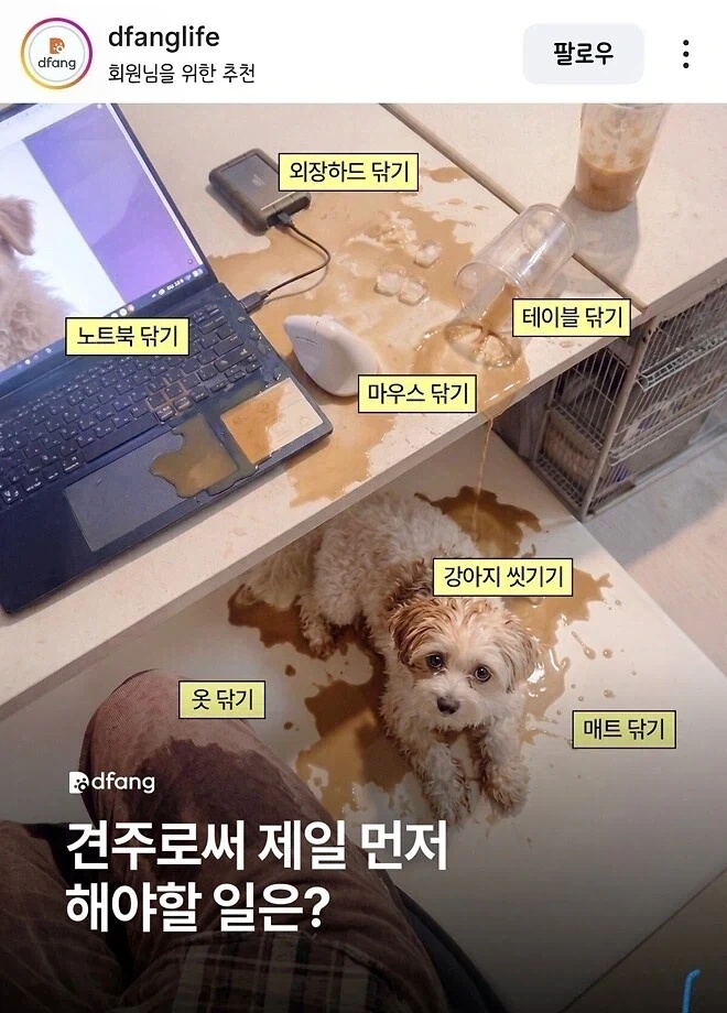 졸음방지 커피 3대장_3.webp