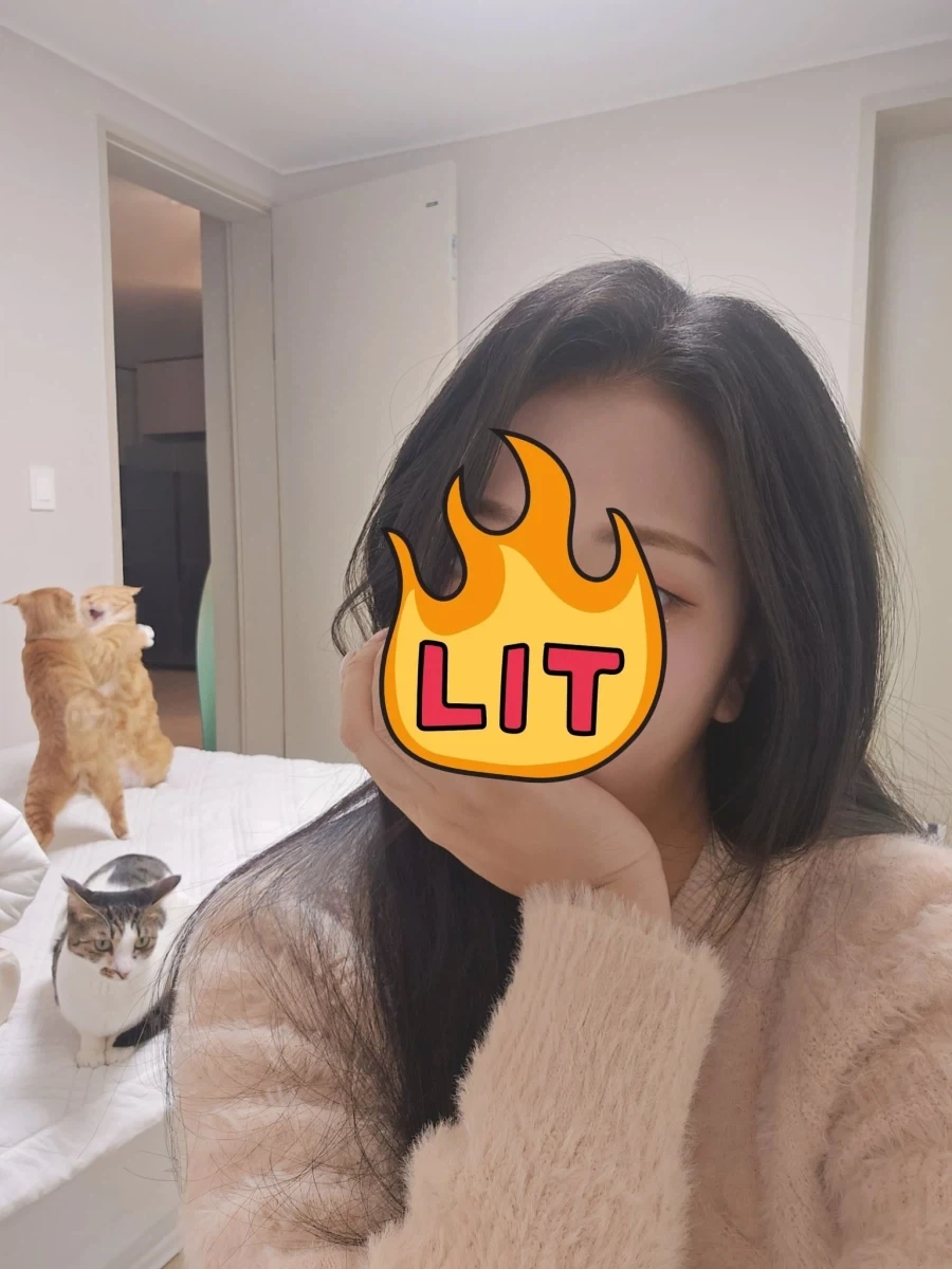 진짜 사랑을 찾는 과정 대표 이미지