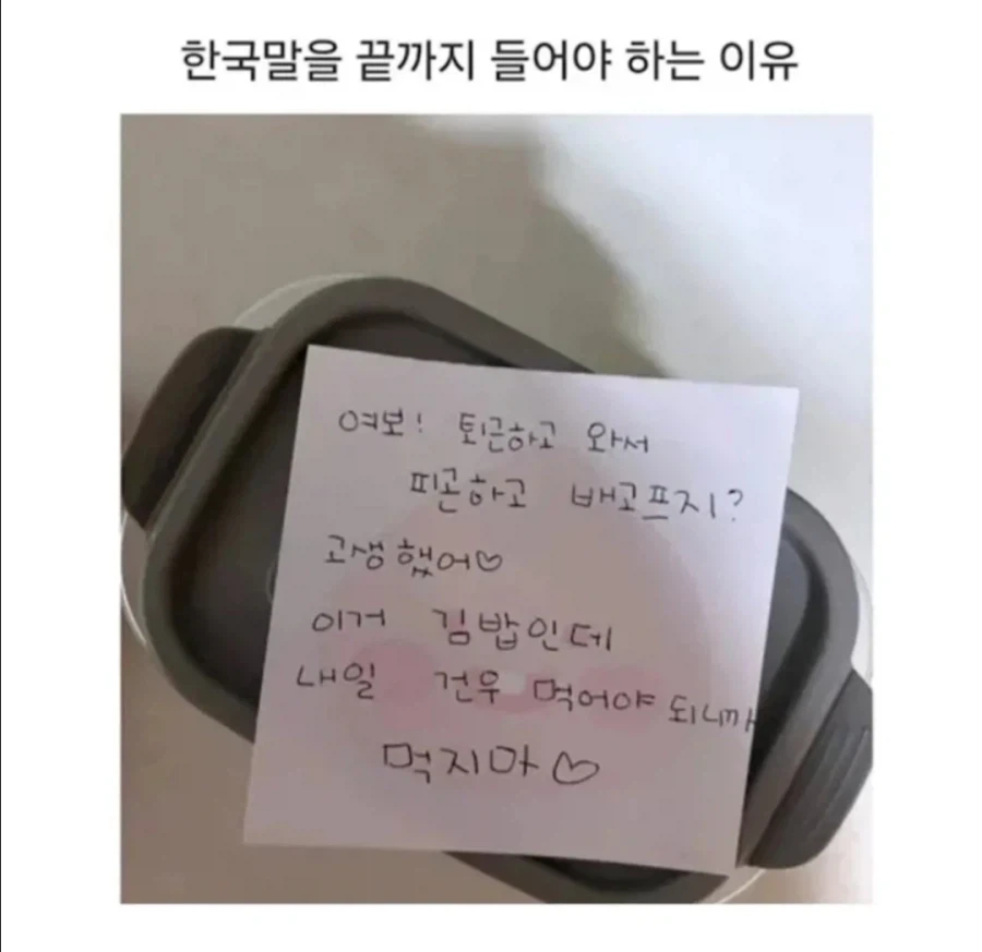 강아지 미용 맡겼더니 우리집 강아지가 사라짐.JPG 대표 이미지