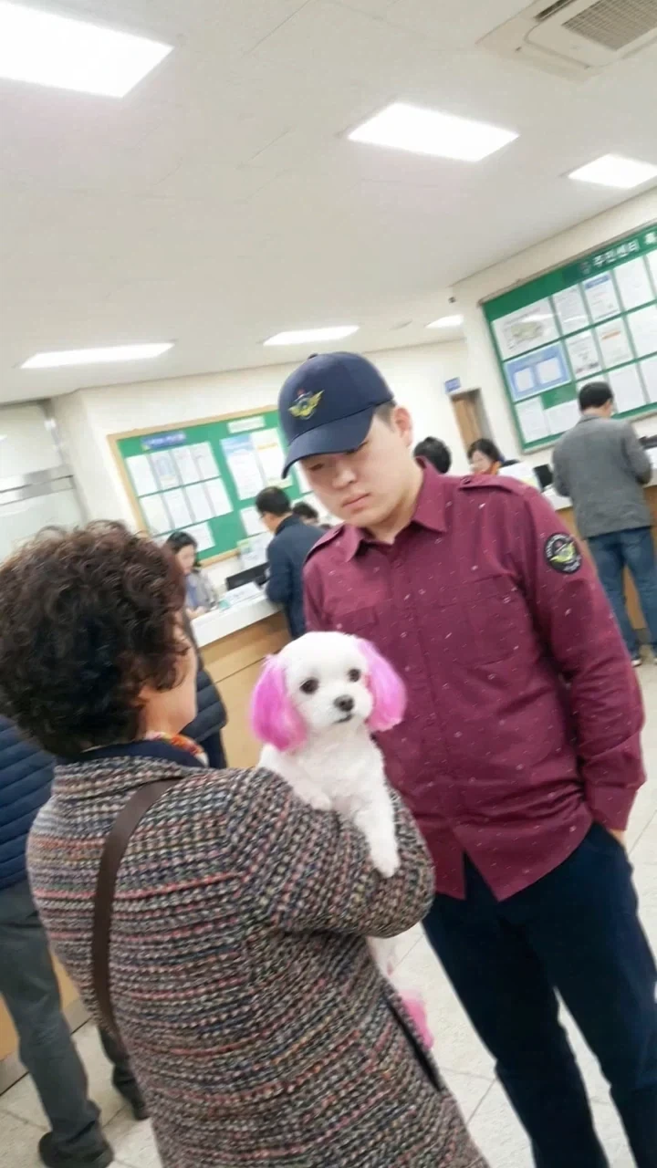 AI 공익 시리즈_25.webp