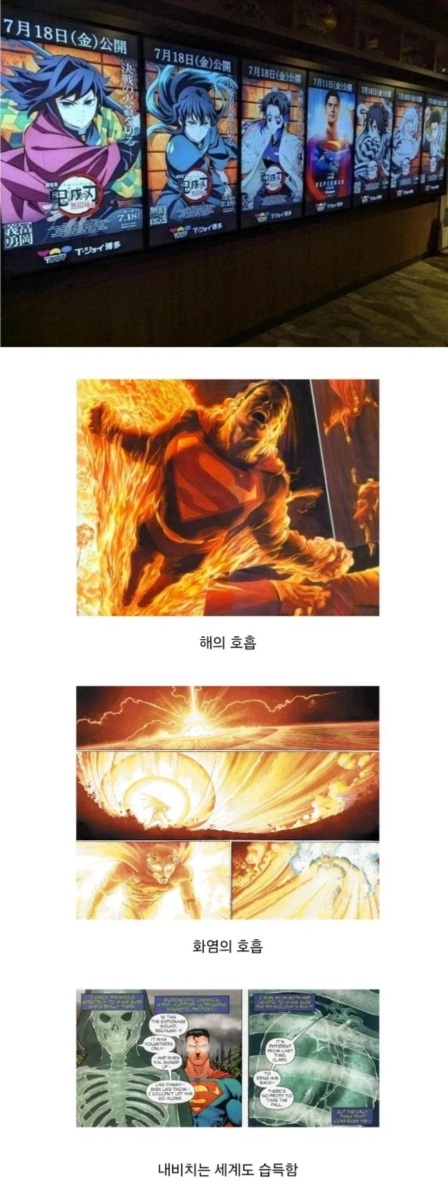 시원한 몽미나 보고가십쇼 대표 이미지