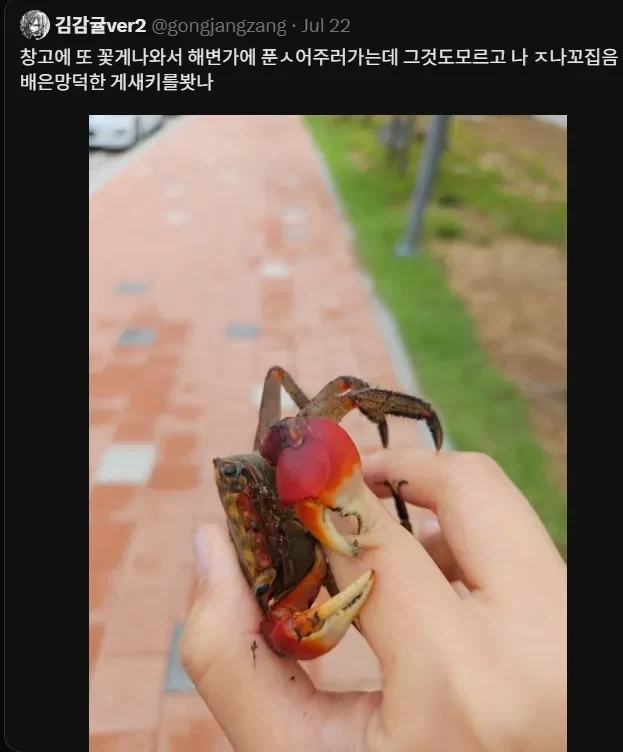 트로이 사람들이 성문을 부수고 목마를 들인 이유 이미지 3