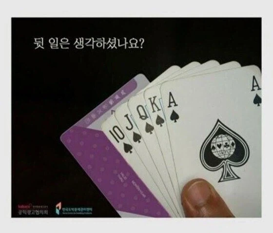 한국에서는 흔히 보인다는 살해현장 대표 이미지