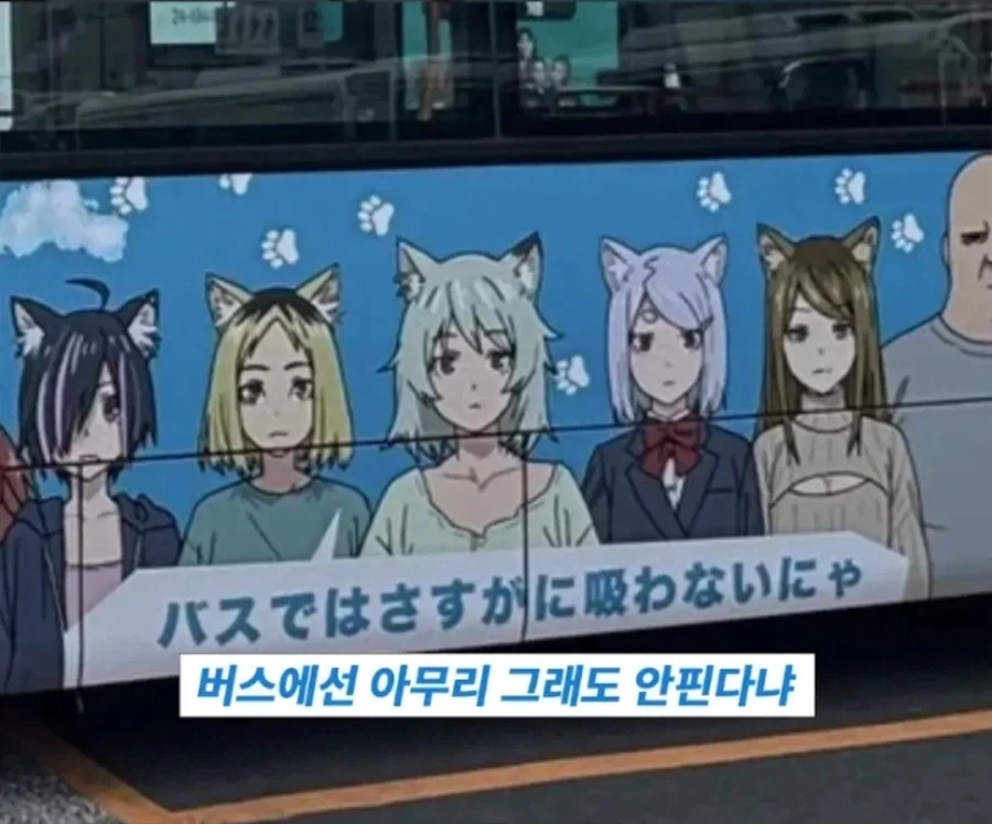 40살 넘었는데 운전면허가 없다.jpg 대표 이미지