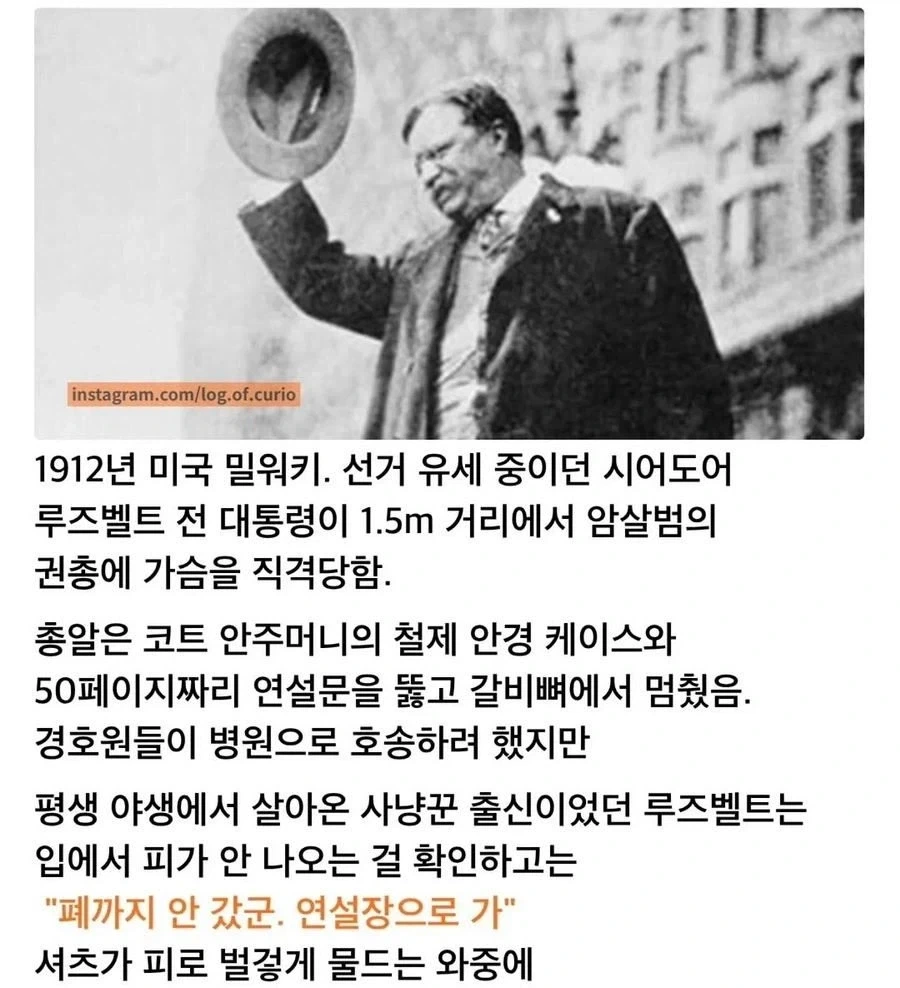 앵무새랑 행복하게 사는법 대표 이미지