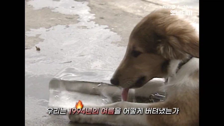 놀란 오디세이 젠다야 장면 5분,루피타 뇽오 장면 8분 이미지 2