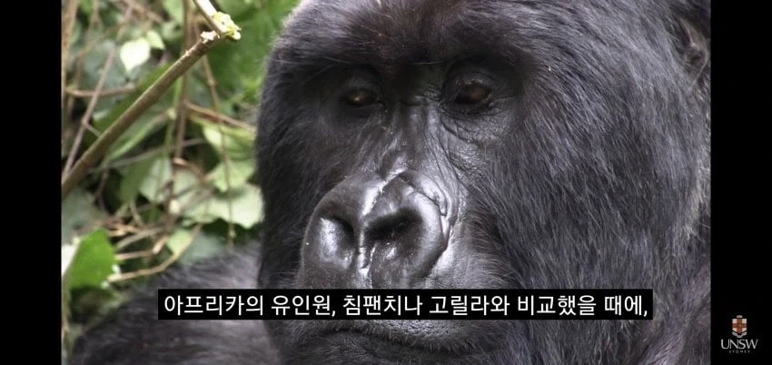 예비군 4년 미룬 사람의 최후.jpg 대표 이미지