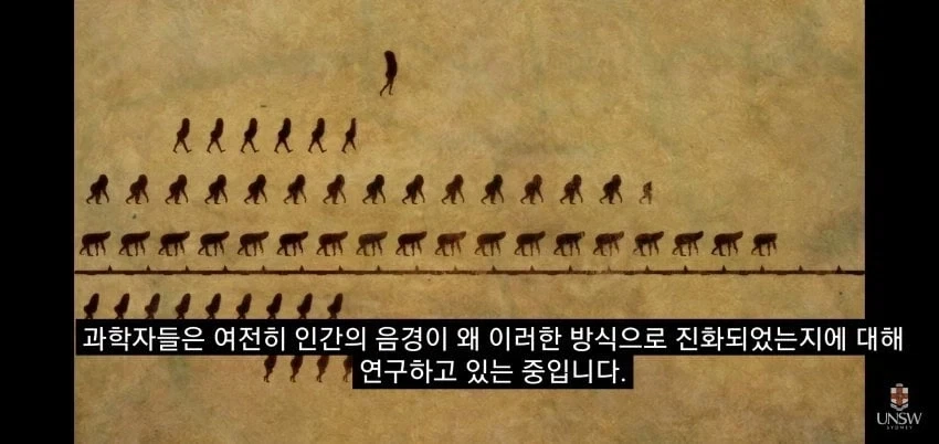 인간의 성기가 크고 굵은 이유_20.webp