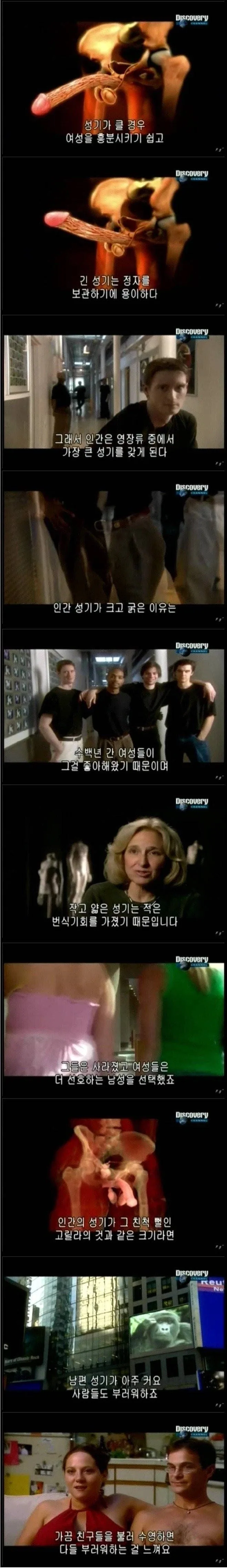 인간의 성기가 크고 굵은 이유_24.webp