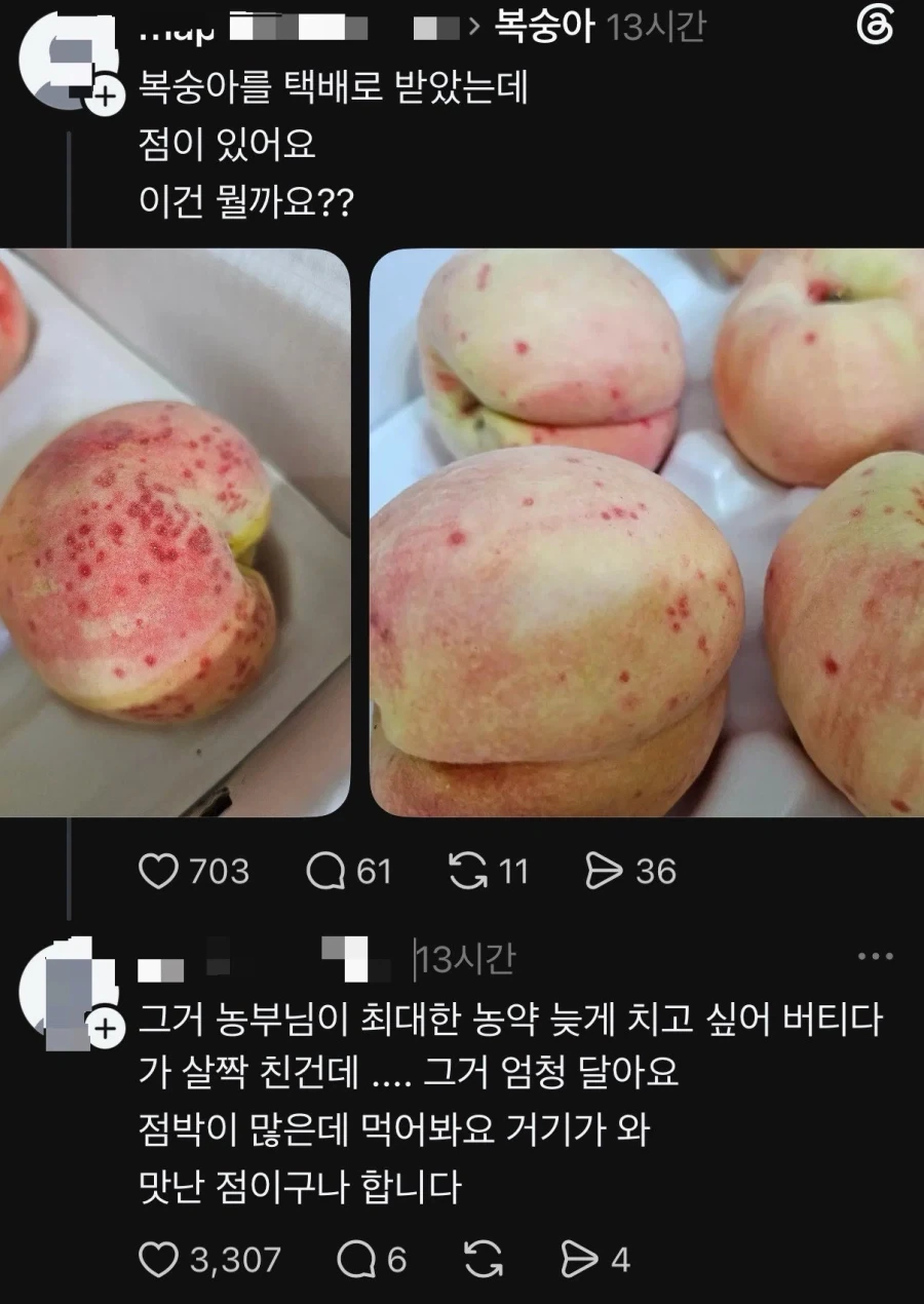 주식) 설명할 시간 없어! 어서 타!!!!! 이미지 2