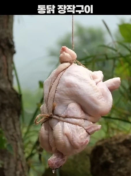 스페이스x 망하길 원하는 사람들 이미지 5