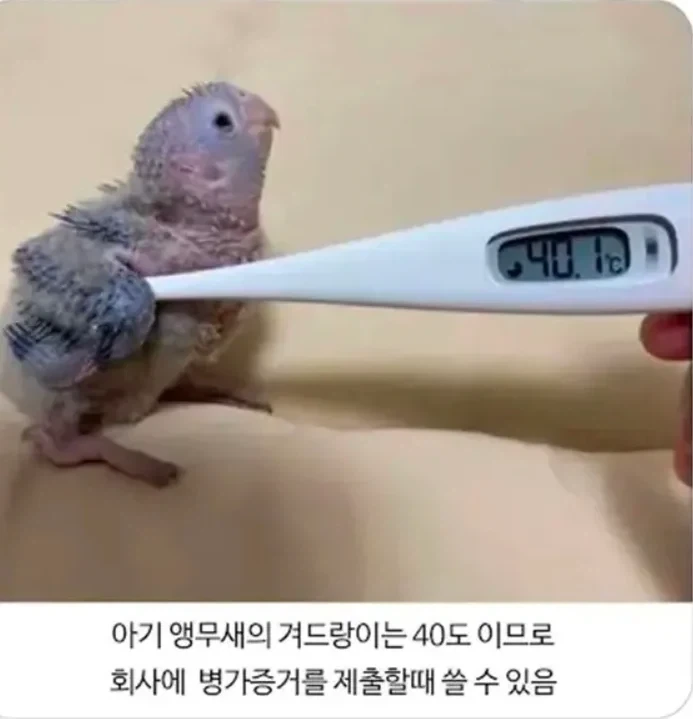 젊은 사람들이 결혼안하는이유 대표 이미지
