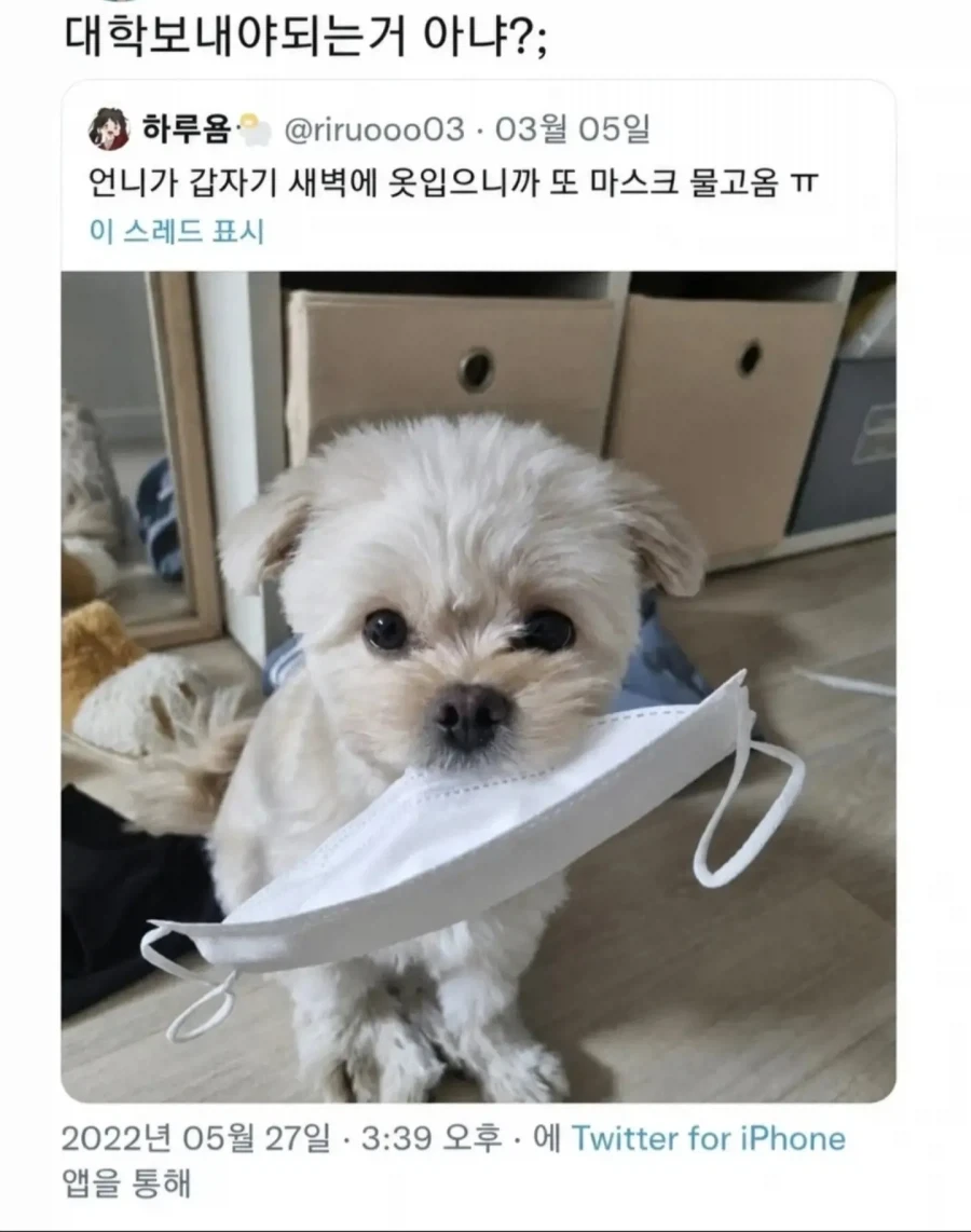 ＇얌전한데 진짜 멋있는 여친＇ 이미지 4