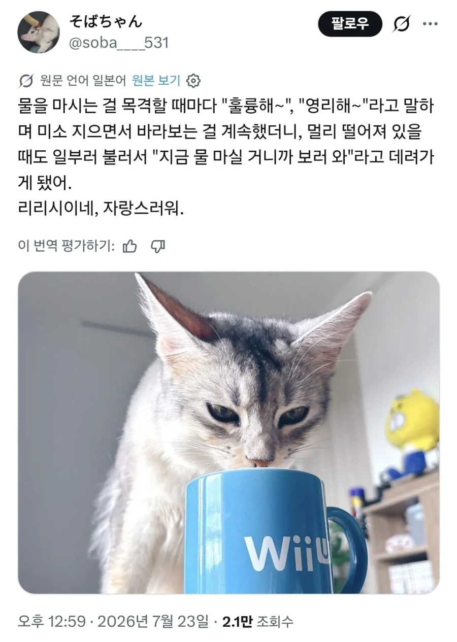 "누누히 말하지만 여자의 00에 주먹은 들어가지 않습니다" 이미지 2
