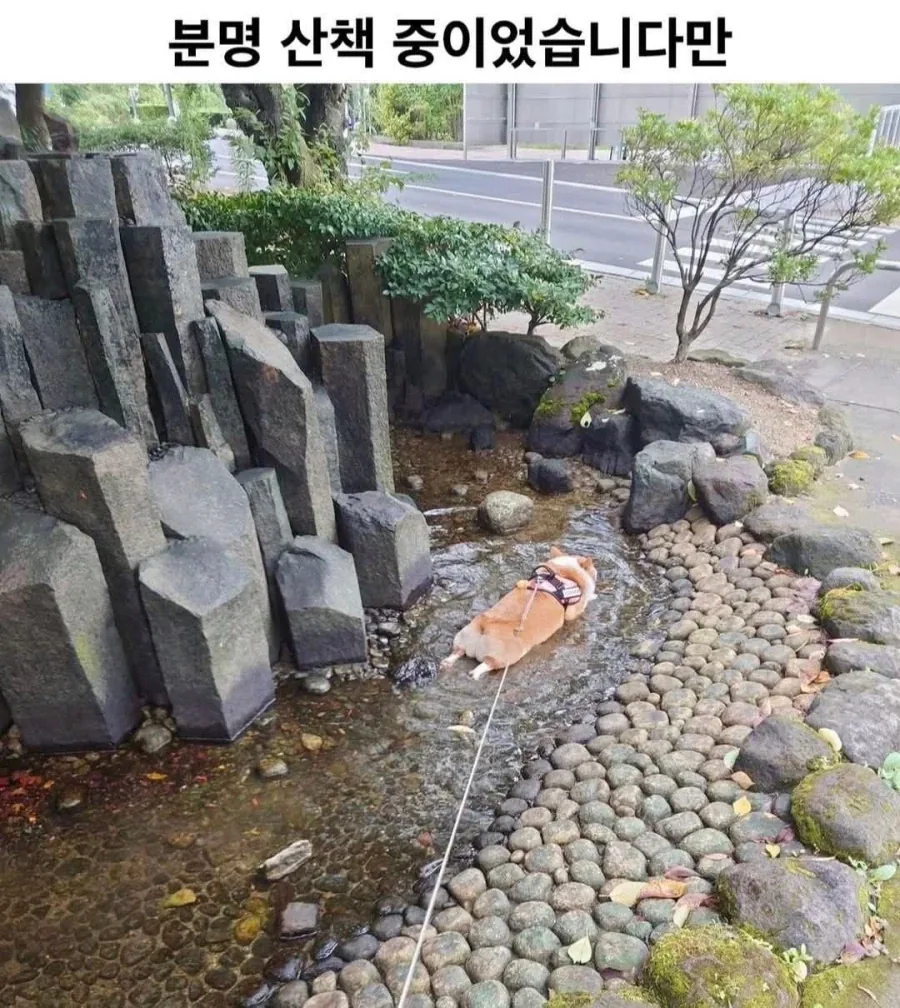 인생에서 ㅈㅌㅇ란건 대표 이미지