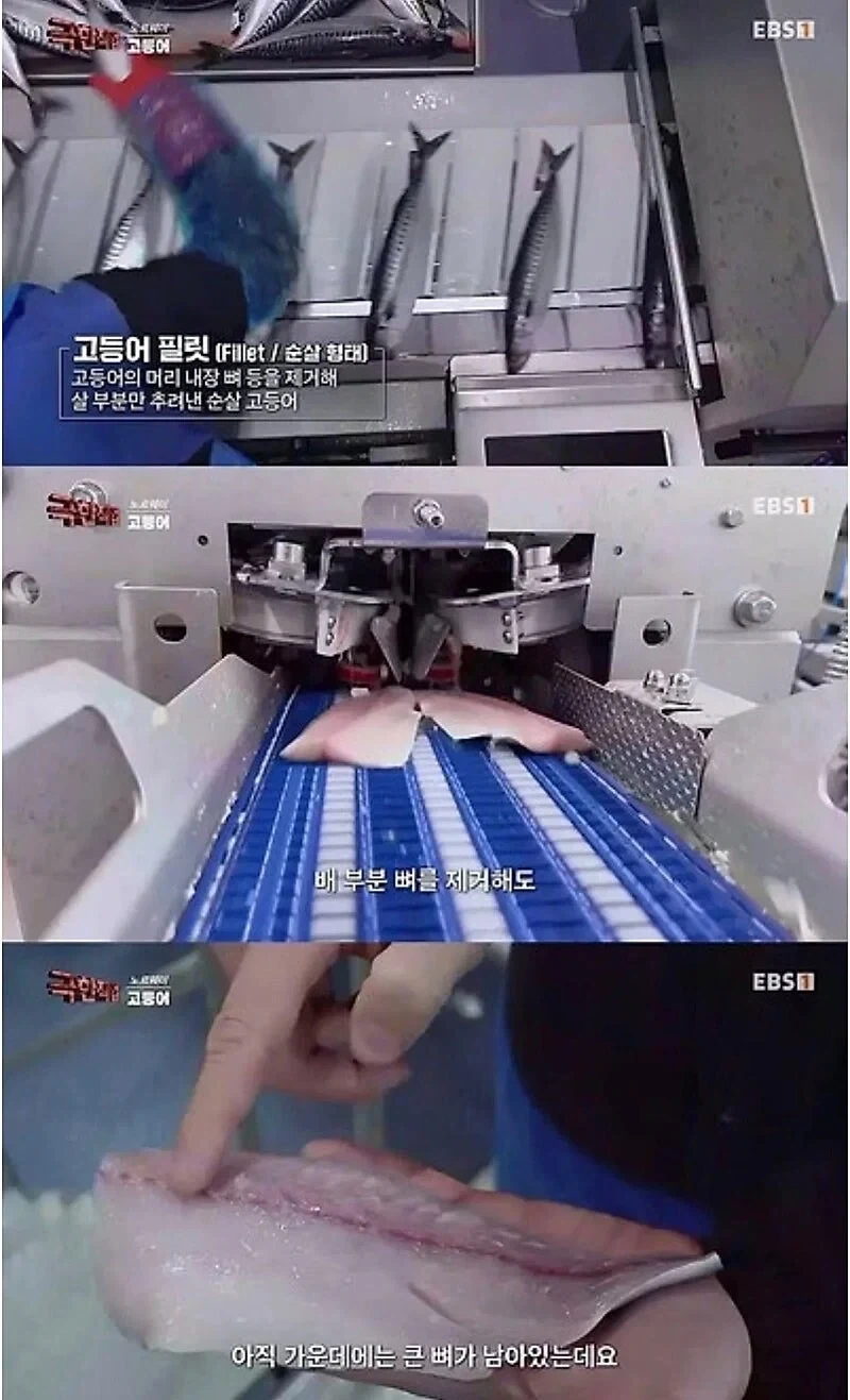 그럴리없어그럴리없어그럴리없어그럴리없어그럴리없어그럴리없어 대표 이미지