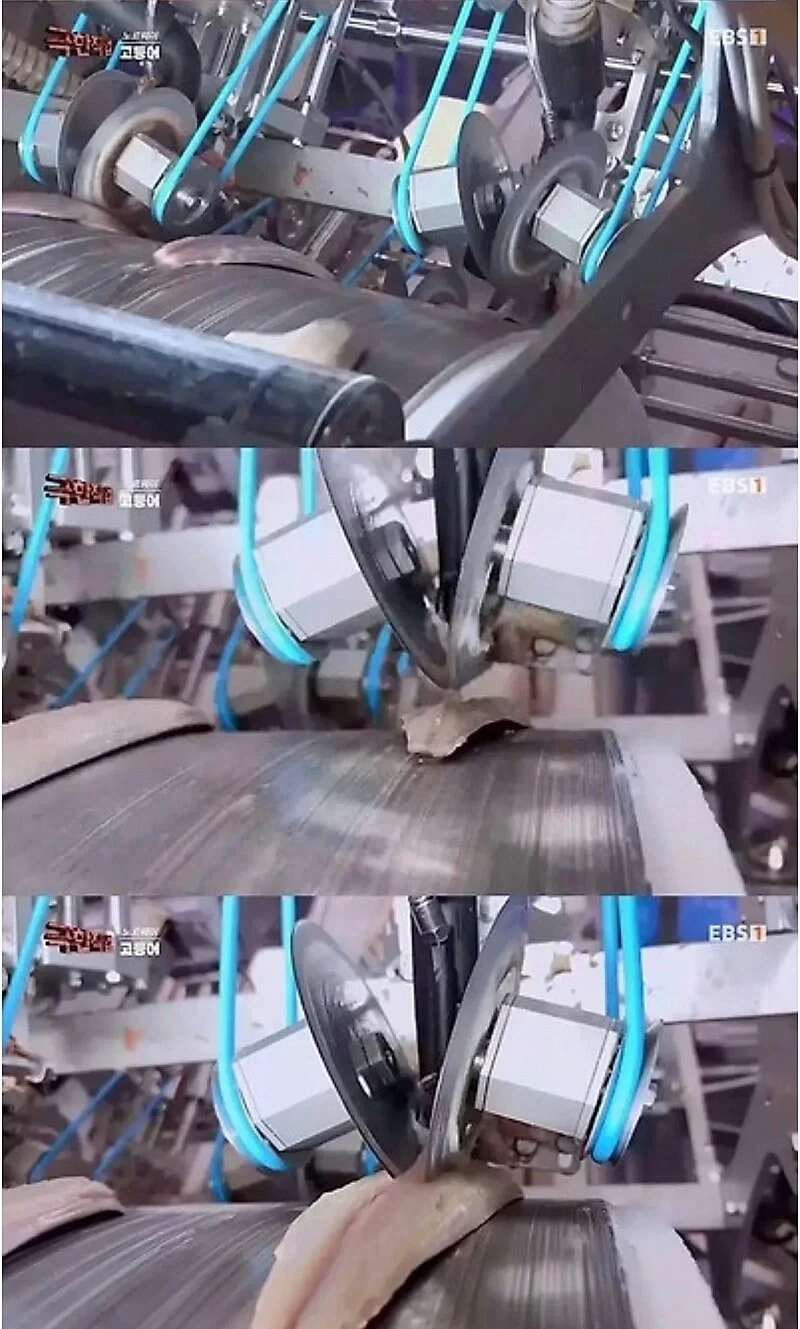 노르웨이 순살 고등어의 비밀_4.webp