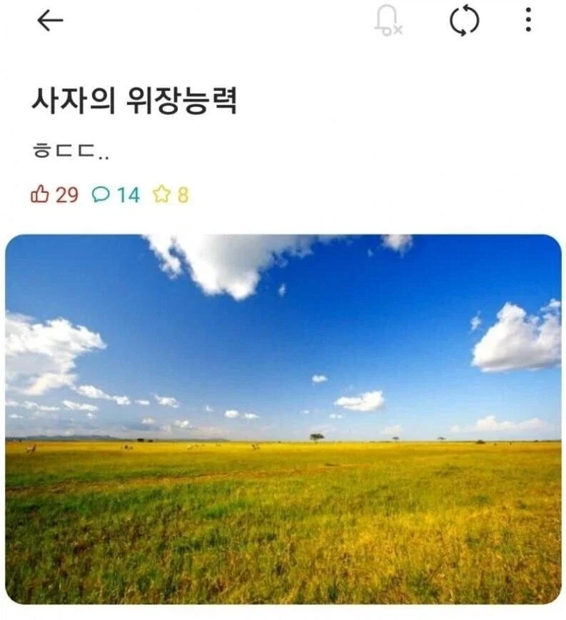 이치고 시발 부러운 새끼 대표 이미지