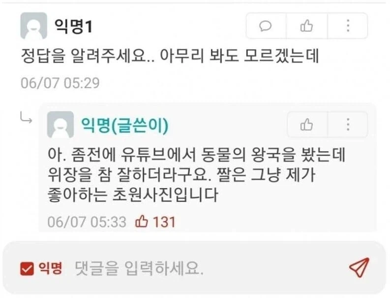 사자의 위장 능력_2.webp