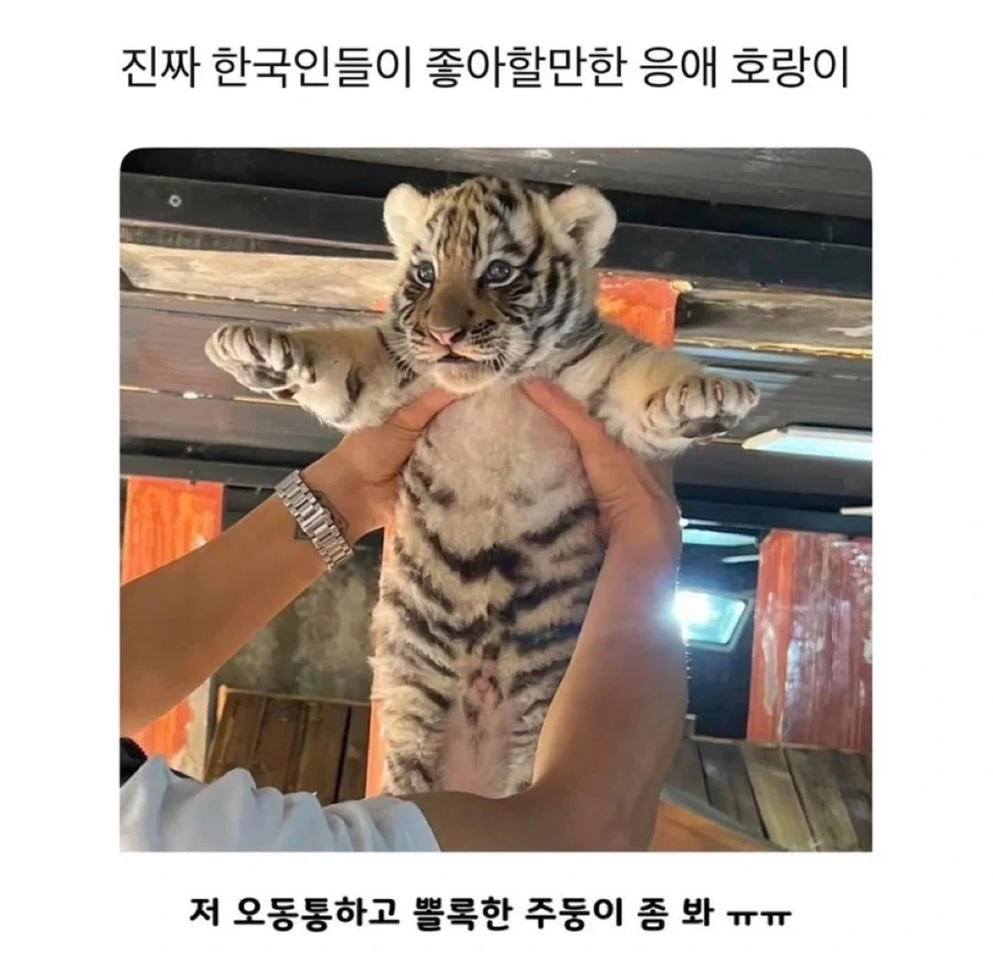 매운맛 1위 라면 대표 이미지