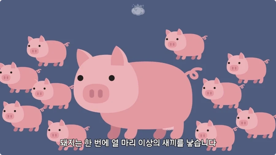 ??? : 되팔이가 있어야 시장이 굴러감 대표 이미지