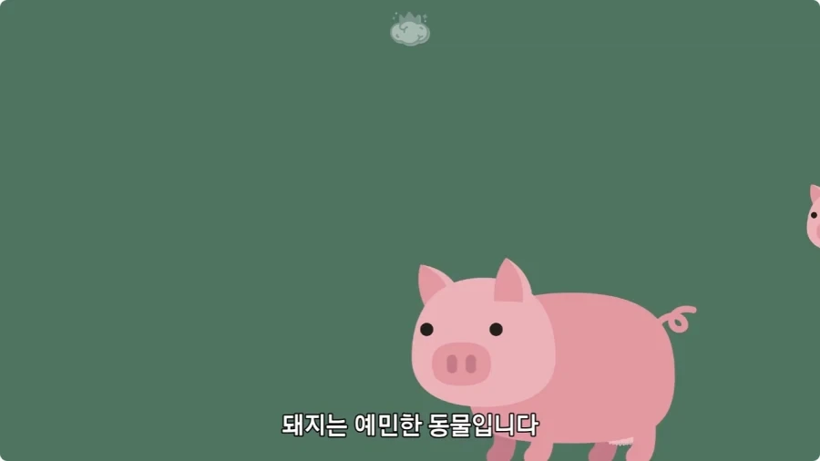 돼지젖으로 만든 우유가 없는 이유.jpg_6.webp