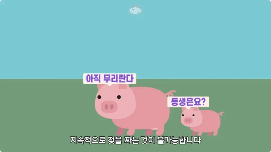돼지젖으로 만든 우유가 없는 이유.jpg_20.webp