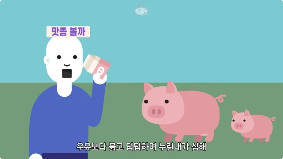 돼지젖으로 만든 우유가 없는 이유.jpg_22.webp