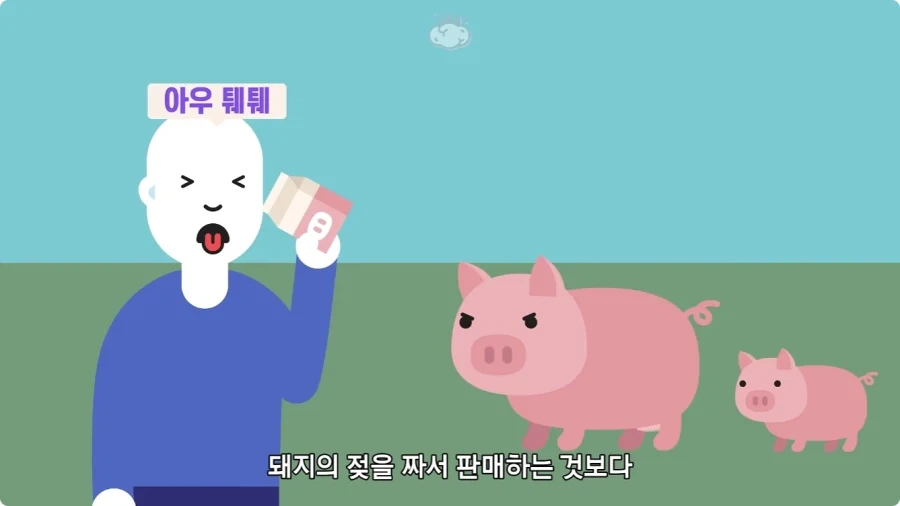 돼지젖으로 만든 우유가 없는 이유.jpg_24.webp