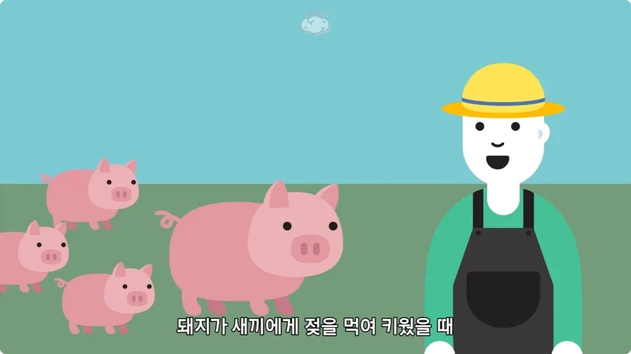 돼지젖으로 만든 우유가 없는 이유.jpg_25.webp