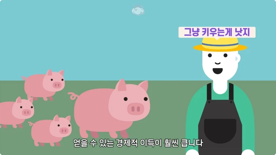 돼지젖으로 만든 우유가 없는 이유.jpg_26.webp