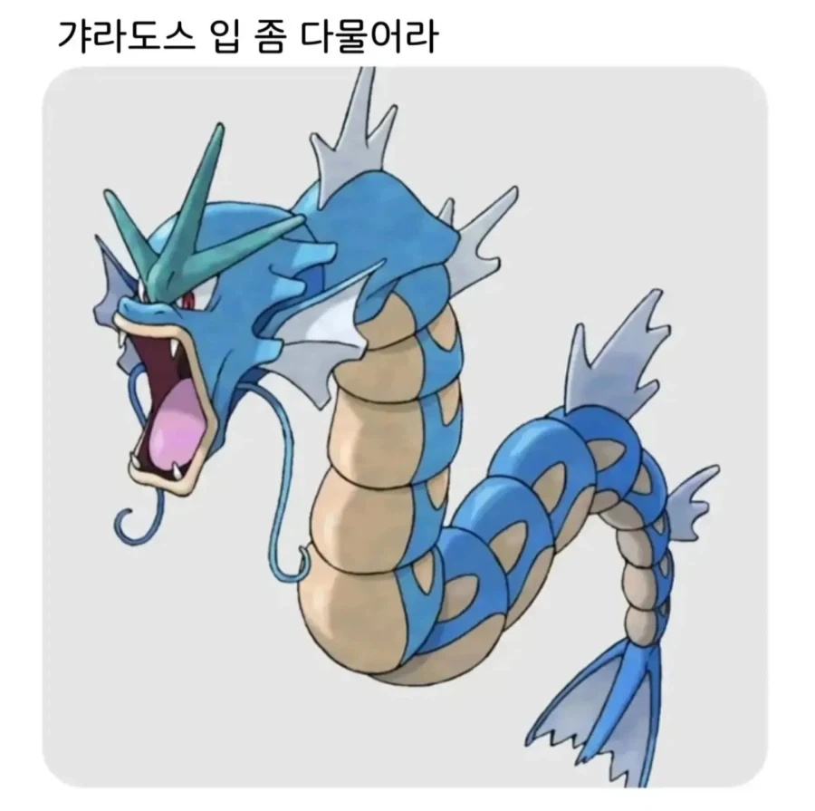 리센느 보면 카라 생각 많이 남 대표 이미지