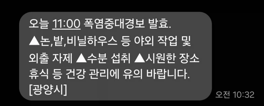 헤어드라이기로 감자튀김튀겼어 대표 이미지