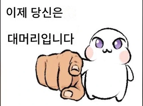 사달라는 듯 당신을 바라보는 양상추 대표 이미지